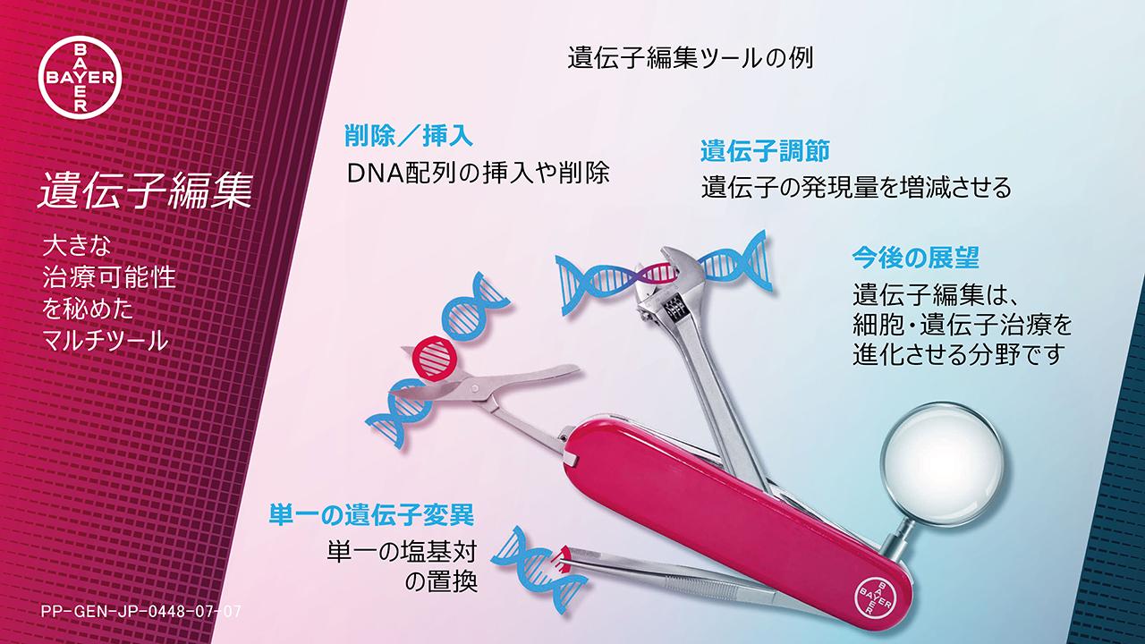 （JA）スライド画像３：遺伝子編集 - 誤大きな治療可能性を秘めたマルチツール