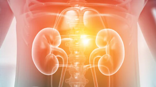 慢性腎臓病について