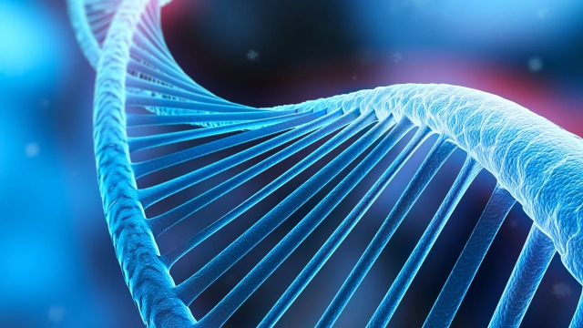 dna-molecule